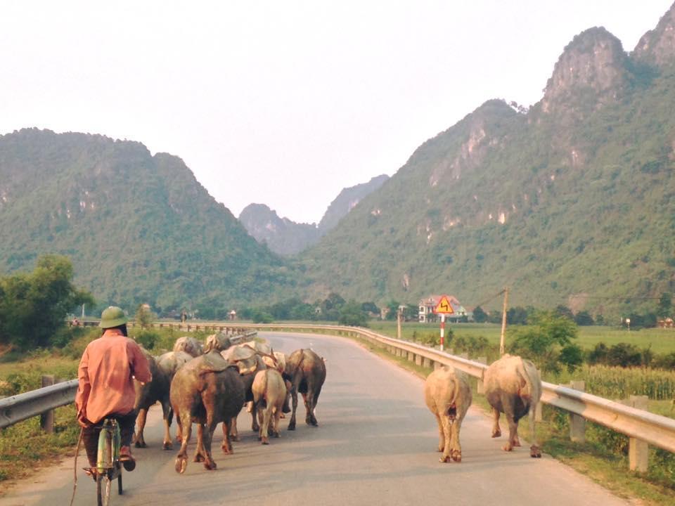 Phong Nha Midtown Hotel Cu Lac Esterno foto